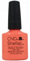 Shells In The Sand By CND Shellac